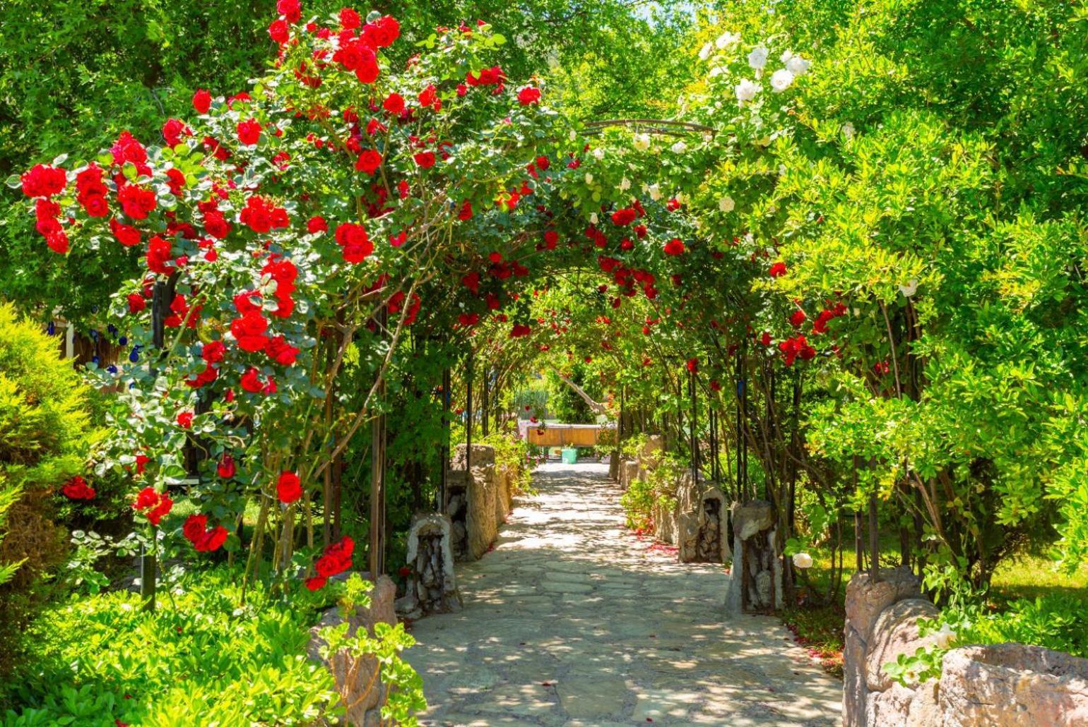 Villa Ayla Paradise Dalyan Exterior photo